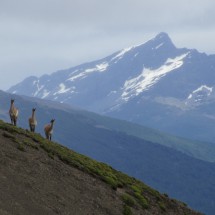Tierra del Fuego - Chile